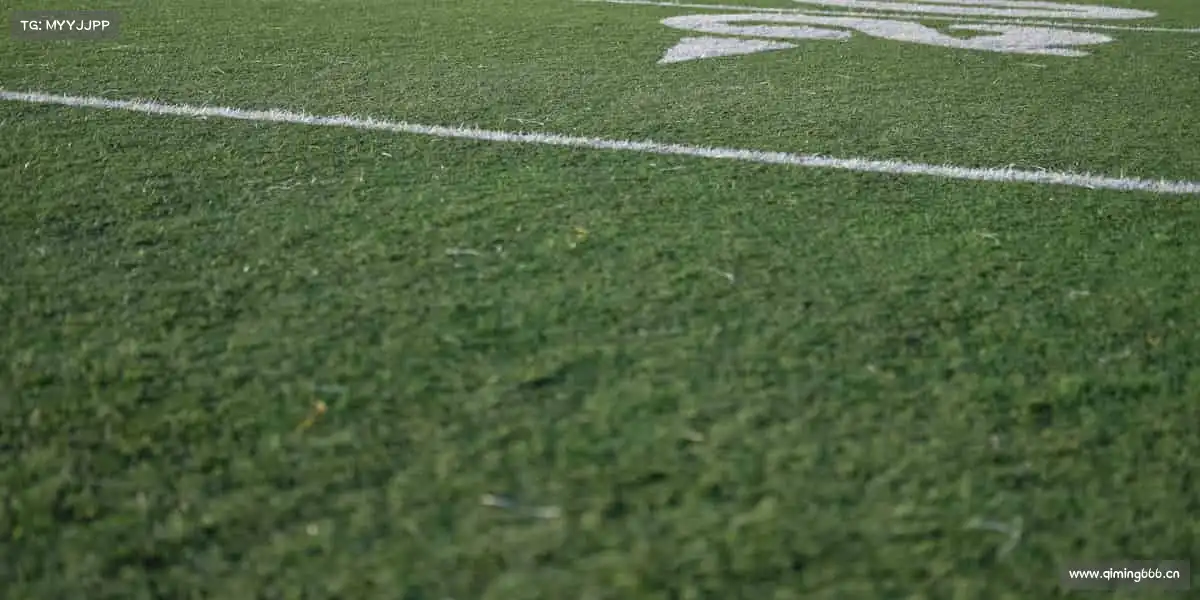 南宫NG28🏋️♀️力量与汗水的碰撞,健康与梦想的共鸣 —— 运动,从这里出发!