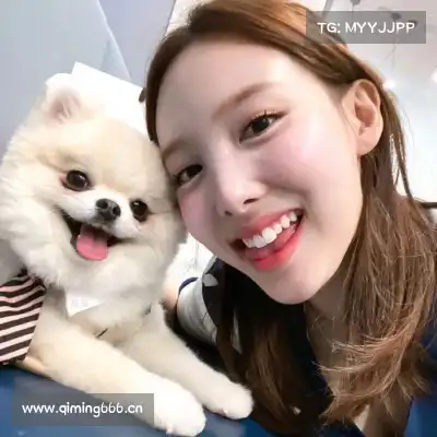 许发纯